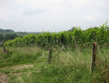 Impact van natuurdoelen op landbouw is tweeërlei
