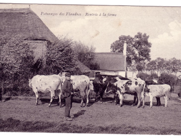 Melk was een bijproduct op de boerderij in de 19e eeuw