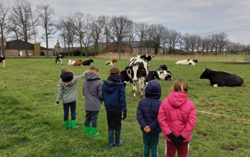 Natte Bottentocht geeft inkijk in "megastallen" Hoogstraten