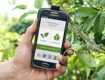 Smartphone-app voor siertelers herkent plantenziekten