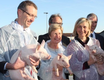 Varkenscampus wil toekomst varkenssector mee vorm geven
