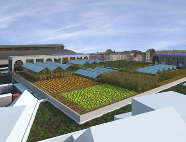 "Stadslandbouw naar een hoger niveau tillen"