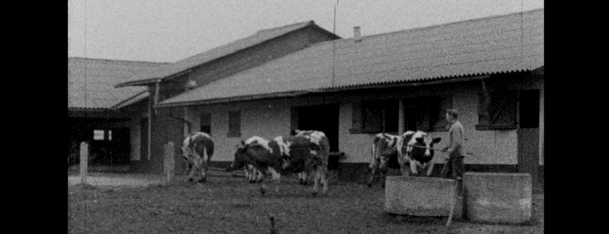 cinema rural landbouwgeschiedenis_CAG