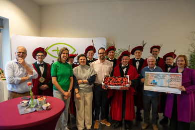 Hoogstraten, eerste aardbeien van het jaar