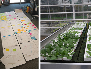 Dakserre Agrotopia krijgt Europese erkenning als living lab