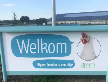 Kipster komt naar België