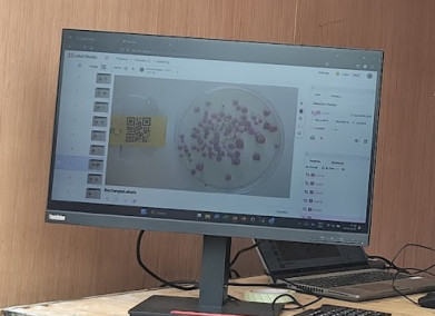 AI veldproeven soja