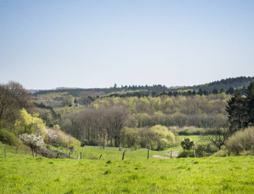 Vragen over toekomstperspectief voor landbouw in Brabantse Wouden