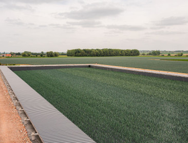 ’s Werelds eerste grootschalige teelt van hydroprei gestart in Ieper