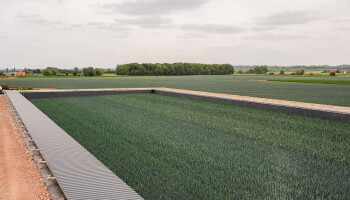 ’s Werelds eerste grootschalige teelt van hydroprei gestart in Ieper
