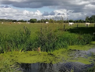 Kaart met gebiedstypes MAP6 hertekend na negatieve evaluatie waterkwaliteit