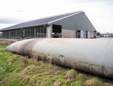 Nieuwe regels bemoeilijken vergunning voor bijkomende mestopslag