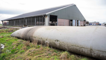Nieuwe regels bemoeilijken vergunning voor bijkomende mestopslag