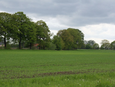 Nieuwe bioverordening overwegend positief onthaald