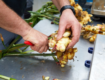 Vlaamse gemberteelt wortelt nog niet diep genoeg om import te verslaan