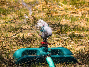 Watergroep: "Water gebruiken voor je gazon is not done"