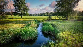 Opinie: "Meer natuur is geen luxe, maar onze beste bescherming tegen hitte"