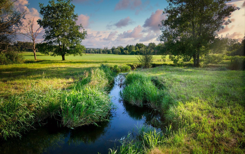 Greenpeace stelt Vlaamse regering in gebreke voor slechte waterkwaliteit