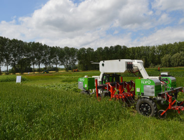 Duurder vlees, kansen voor pluimvee en mondiale concurrentie: EU voorspelt landbouw in 2035