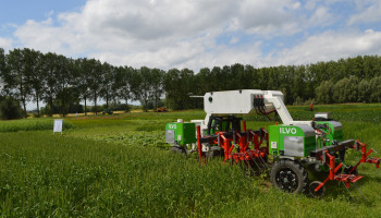 Duurder vlees, kansen voor pluimvee en mondiale concurrentie: EU voorspelt landbouw in 2035