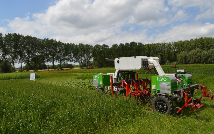 Duurder vlees, kansen voor pluimvee en mondiale concurrentie: EU voorspelt landbouw in 2035