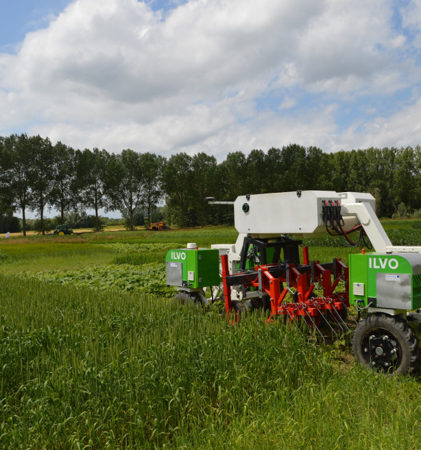 Duurder vlees, kansen voor pluimvee en mondiale concurrentie: EU voorspelt landbouw in 2035