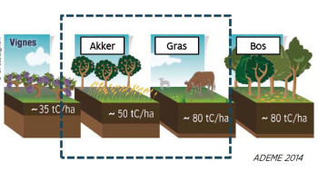 ILVO trekt lessen voor het klimaat uit bodem- en bemestingsonderzoek