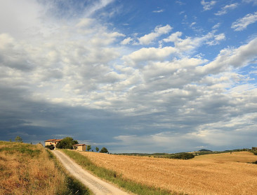 WUR: “Zonder beleidswijziging neemt EU-landbouwgrond met meer dan acht miljoen hectare af”