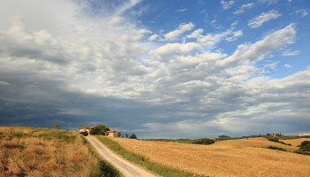 WUR: “Zonder beleidswijziging neemt EU-landbouwgrond met meer dan acht miljoen hectare af”