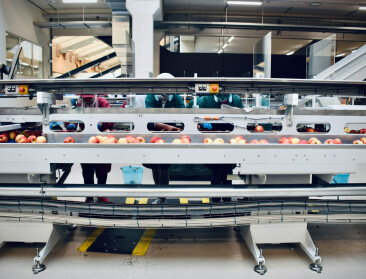 Onzekerheid troef in handel tussen EU en VS toch blijven internationale ambities lonen voor voedingsbedrijven