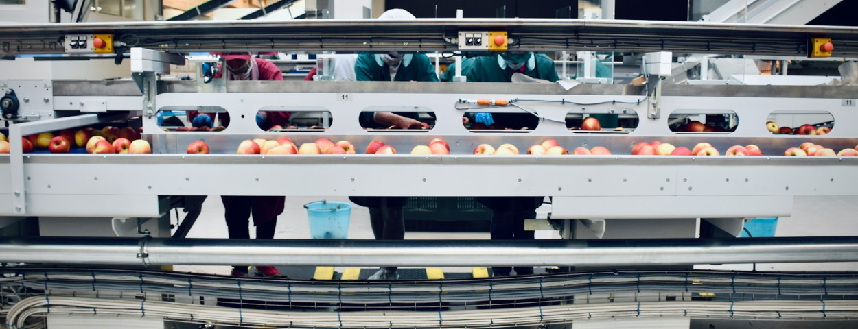 voeding appel verwerker industrie_unsplash
