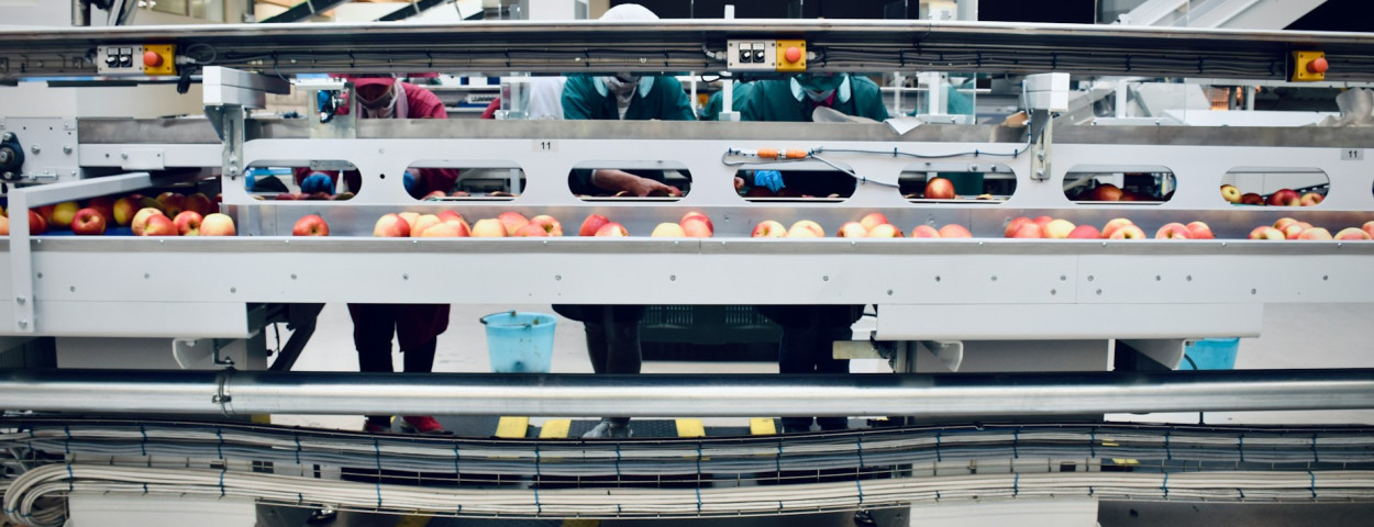 voeding appel verwerker industrie_unsplash
