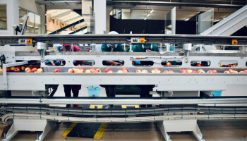 Onzekerheid troef in handel tussen EU en VS toch blijven internationale ambities lonen voor voedingsbedrijven