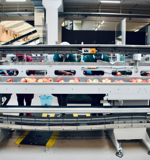 Fevia: “Als we nu niet ingrijpen, dreigt voedingsindustrie uit België te verdwijnen”