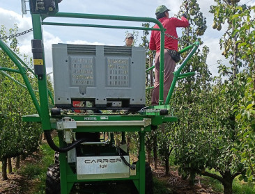 Belastingvoordeel op de helling voor seizoensarbeid in groente- en fruitsector