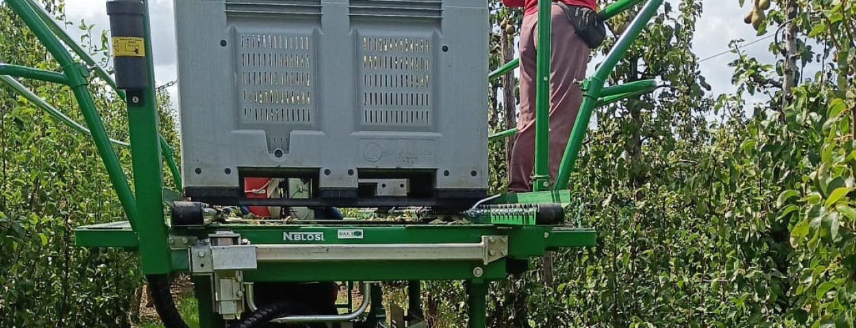 Seizoensarbeiders peren