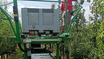 Belastingvoordeel op de helling voor seizoensarbeid in groente- en fruitsector