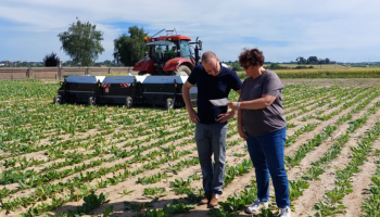 Inagro onderzoekt AI op maat van de landbouwer