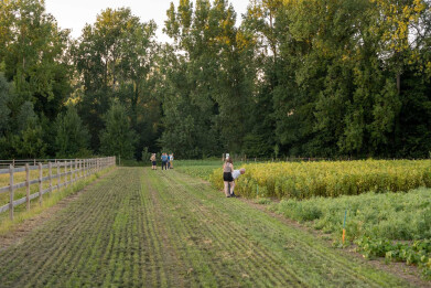 Demoveld Peulvruchten op zwalmbeekhoeve