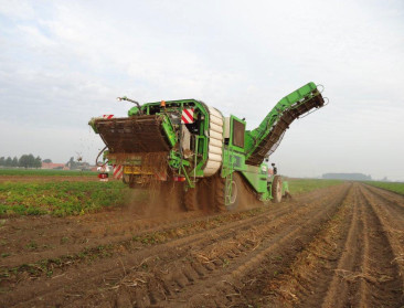 "Minder aardappelen en tarwe door ozonschade"
