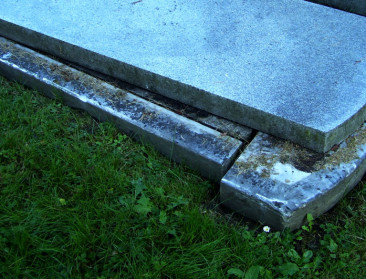 Bijna pesticidenvrij onderhoud openbaar domein