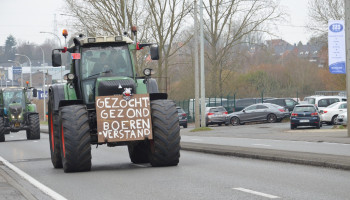 Nederland stelt stikstofdeadline mogelijk uit, Vlaanderen niet van plan om te volgen