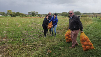 Aldi stopt met biopompoenen: bioboer uit Deftinge moet op zoek naar alternatieve afzet