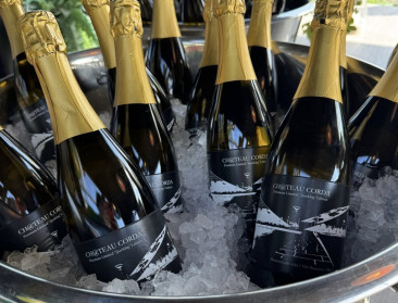 “Beter dan de klassieke Cava”: Innovatieproject levert mousserende wijn op van Limburgse dakwijngaard