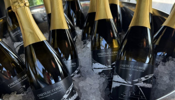 “Beter dan de klassieke Cava”: Innovatieproject levert mousserende wijn op van Limburgse dakwijngaard
