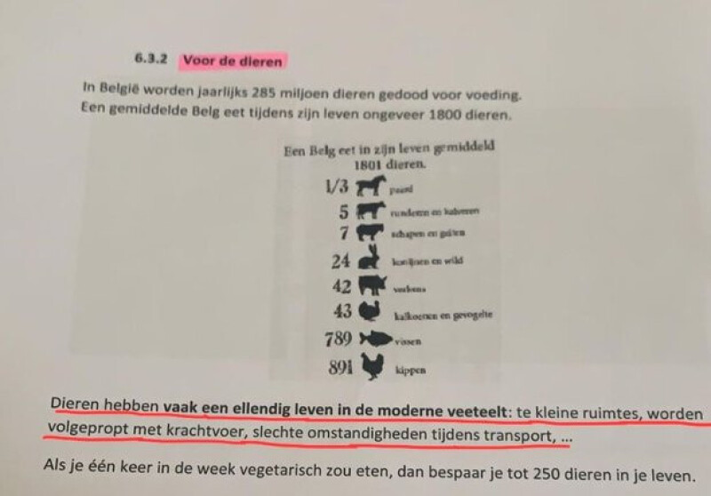 leerstof-4de-leerjaar