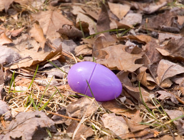 Microplastics hebben negatief effect op aardwormen