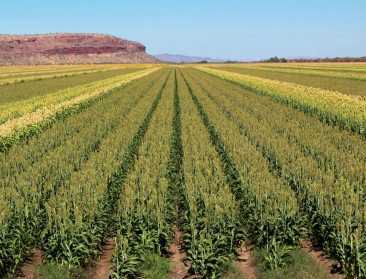 Belgische student naar jongerentop rond landbouw