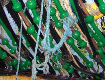 Climaxi start Europese petitie tegen elektrisch vissen