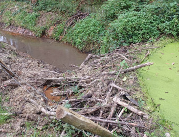 Provincie Antwerpen vraagt meer duidelijkheid rond aanpak van bevers